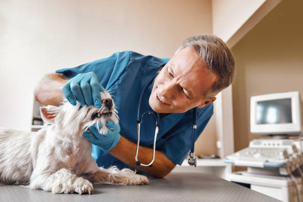 Best Emergency Tooth Extraction in Longview, TX
